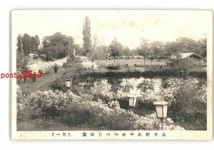 XyW0738●山形 長井町あやめつつじ公園 その1 *傷み有り【絵葉書】