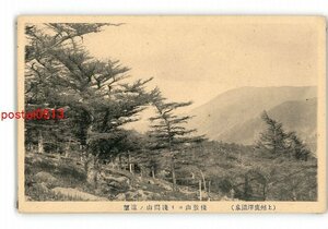 XyX0060●群馬 上州鹿澤温泉 桟敷山より浅間山の遠望 *傷み有り【絵葉書】