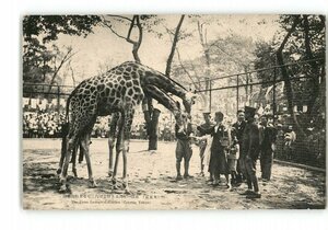 XyW5886●東京 大東京 東洋一を誇る上野公園内に有る上野動物園 *傷み有り【絵葉書】