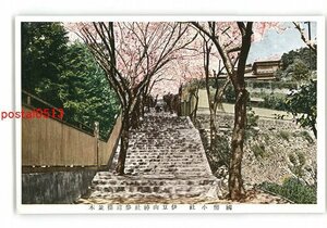 XyZ1017●静岡 国幣小社 伊豆山神社参道桜並木 *傷み有り【絵葉書】