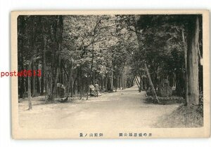 XZA5494●東京 井の頭恩賜公園 御殿山の景 *傷み有り【絵葉書】