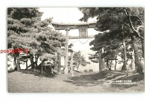 XZC2710●長野 飯綱原頭戸隠神社一の鳥居 *傷み有り【絵葉書】