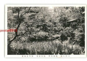 XZD0535●愛知 八橋 杜若 無量壽寺 現今の風景 *傷み有り【絵葉書】