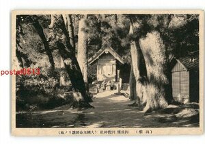 XZD2184●島根 因佐神社 *傷み有り【絵葉書】