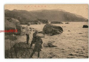 XZE1656●山形？ 加茂海岸の磯釣 *傷み有り【絵葉書】