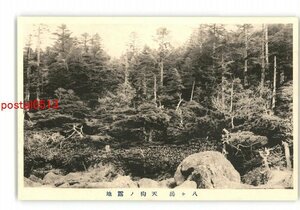 XZG1226●長野 八ヶ岳 天狗の露地 *傷み有り【絵葉書】