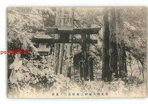 XZH6226●埼玉 秩父郡大瀧村三峯神社二ノ鳥居 *傷み有り【絵葉書】