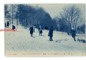 XZH6655●北海道 小樽 聖ヶ丘の女学生スキー練習 *傷み有り【絵葉書】