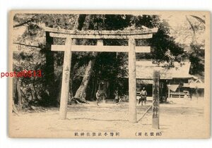 XZI2908●島根 出雲名所 国幣小社須佐神社 *傷み有り【絵葉書】