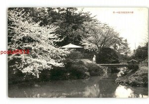 XZI2634●愛媛 桜の名所道後公園の一部 *傷み有り【絵葉書】