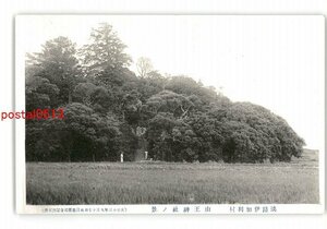 XZH9737●兵庫 淡路伊加利村 山王神社の景 *傷み有り【絵葉書】