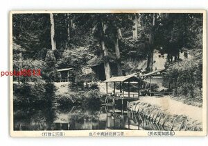 XZI4275●新潟 北越加茂名所 青海神社神苑中の池 *傷み有り【絵葉書】