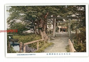 XZI4576●福島 岩代高玉温泉湯神神社 *傷み有り【絵葉書】