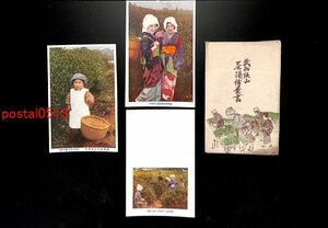 FSA0661●埼玉 武州狭山 茶摘絵葉書 繁田園 袋付3枚 無邪気なお茶摘み *傷み有り【絵葉書】