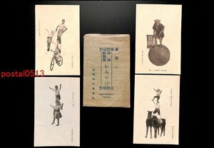 FSA1945●柿岡曲馬団絵葉書 袋付4枚 冒険的二頭馬上の妙技 *傷み有り【絵葉書】