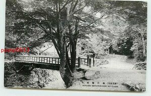 Xe0288●大阪 箕面公園 夫婦橋【絵葉書】