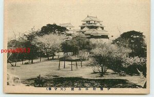 Xf2859●愛媛 松山城 天守閣【絵葉書】