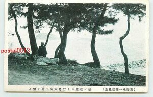 Xe5813●愛知 蒲郡 恋の松原より竹島大島小島【絵葉書】