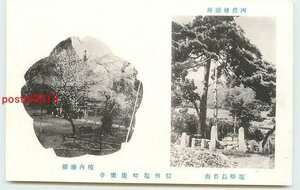 Xf8401●長野 塩崎康楽寺 垂桜　他【絵葉書】