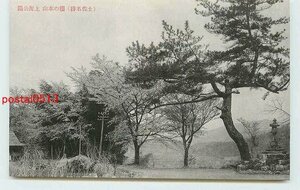 Xf6761●高知 桜の本山 上街公園【絵葉書】