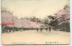 xf7494●東京 手彩色 上野公園の桜 *剥離有り【絵葉書】