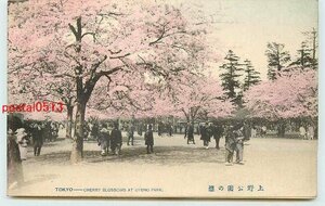 Xf6666●東京 手彩色 上野公園の桜 *剥離有り【絵葉書】