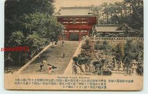 Xg5237●神奈川 手彩色 鶴岡八幡宮 m 【絵葉書】_画像1