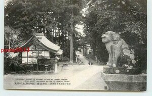 Xj5821●宮城 塩釜神社 狛犬 *アルバム跡有り k 【絵葉書】