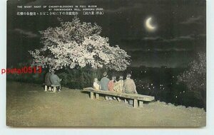 Xi8909●石川 金沢兼六園 夜桜【絵葉書】