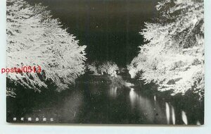 Xi7478●青森 弘前公園の桜 夜景【絵葉書】