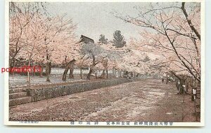 Xk1296●静岡 浅間神社 富士山本宮 桜 *アルバム跡有り k 【絵葉書】