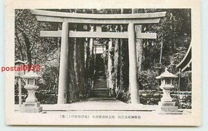 Xi9422●神奈川 箱根神社 大鳥居【絵葉書】