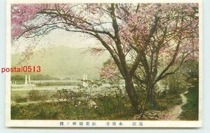 Xk1747●滋賀 永源寺 紅葉橋畔の桜 *アルバム跡有り k 【絵葉書】