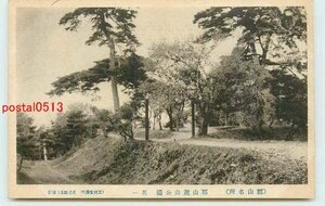 Xk8299●福島 郡山麓山公園 *アルバム跡有り k 【絵葉書】