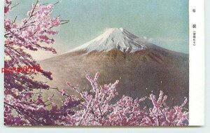 Xi1193●山梨 富士山と桜【絵葉書】