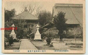 Xp6490●新潟 佐渡 根本寺 本堂【絵葉書】