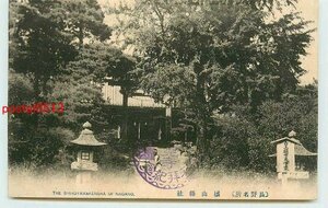 Xp6534●長野 城山県社【絵葉書】