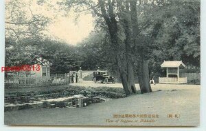 Xp5935●北海道 札幌 帝国大学付属植物園【絵葉書】