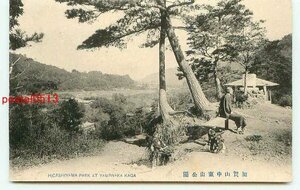 H2589●石川 加賀山中東山公園【絵葉書】