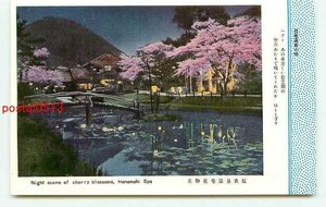 K5571●岩手 花巻温泉夜桜【絵葉書】