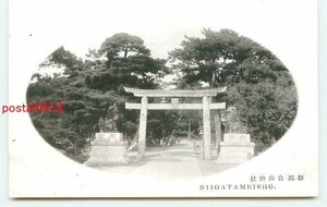 N2996●新潟 白山神社【絵葉書】