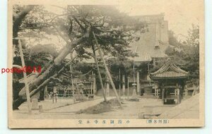 N5283●千葉 小湊誕生寺 本堂【絵葉書】