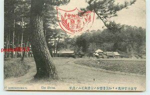 R2797●大分 宇佐神宮神苑より大尾山遠望 *剥離あり【絵葉書】