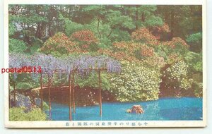 P2274●東京 幸楽 庭園の躑躅と藤【絵葉書】