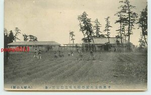 Q4487●千葉 県立生實学校 生徒農業実習【絵葉書】