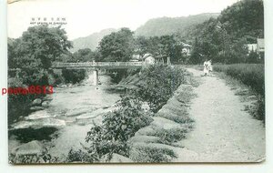 P4395●静岡 修善寺温泉 瀧下橋【絵葉書】