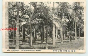 S2750●台湾 台北植物園 椰子密林【絵葉書】