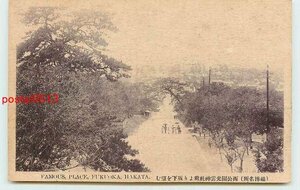 S6100●福岡 博多 西公園　光雲神社前より坂下【絵葉書】