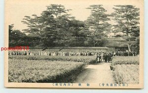 T0056●愛知 祖父江善光寺 御練　山内宅前【絵葉書】