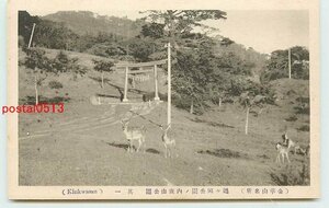 T0688●宮城 金華山 鶴ヶ岡公園内の鹿山公園【絵葉書】